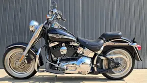 Harley-Davidson   (2)