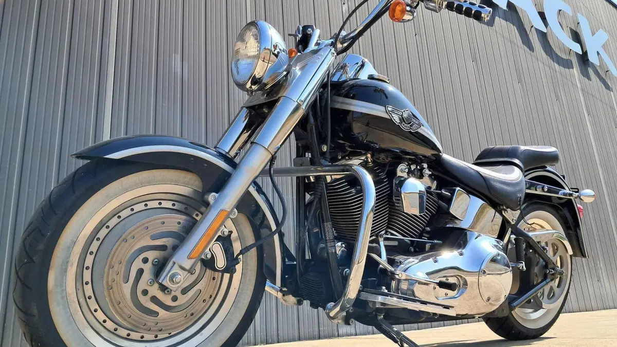Harley-Davidson   (3)