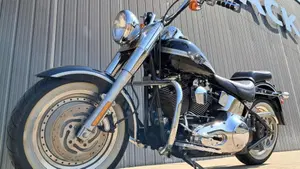 Harley-Davidson   (3)