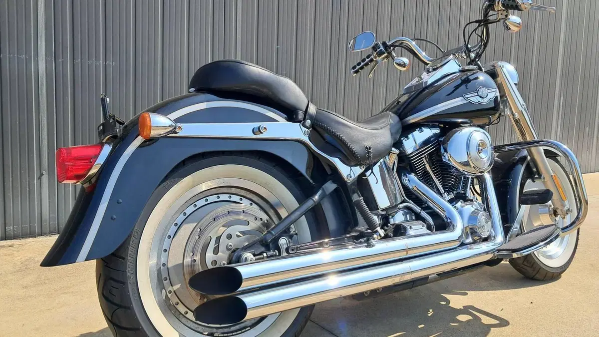 Harley-Davidson   (5)