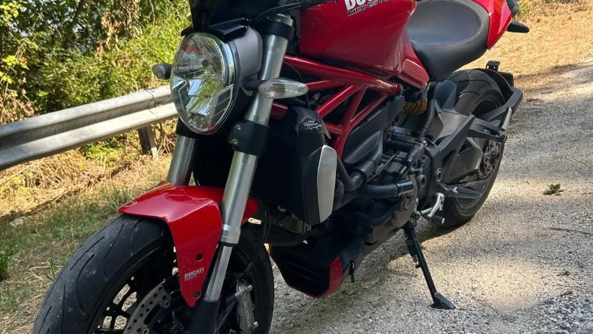 Ducati Monster 1200 (2014 - 16)  (2)