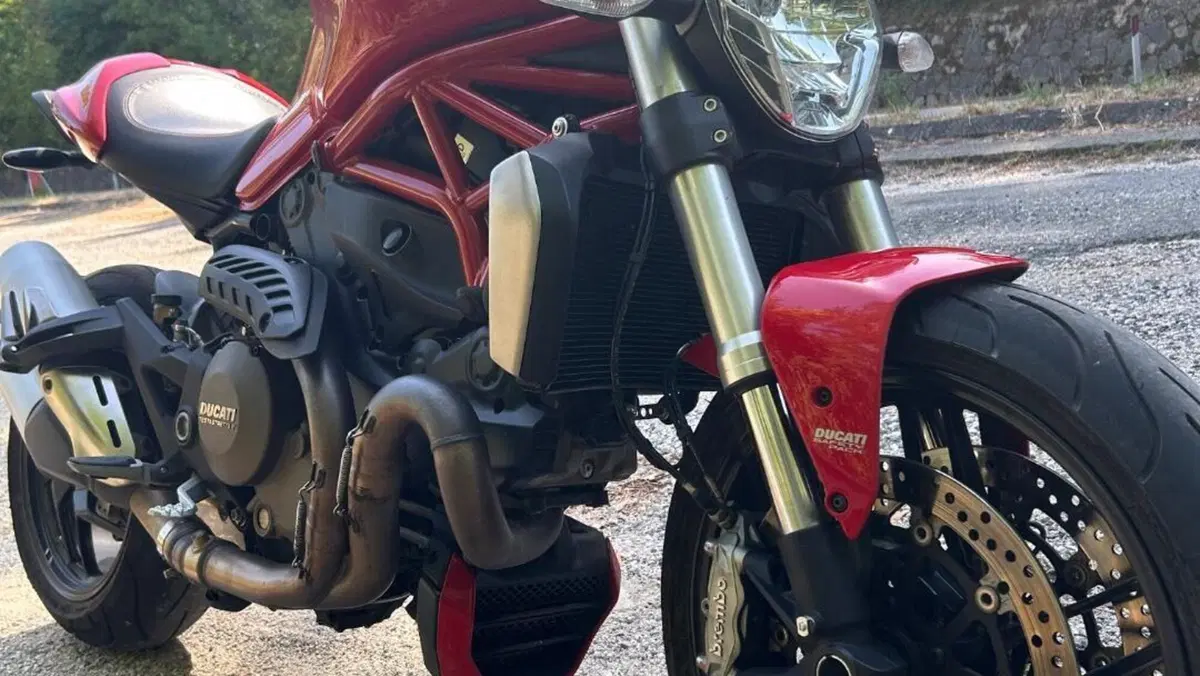 Ducati Monster 1200 (2014 - 16)  (4)