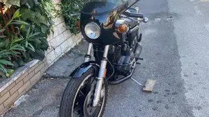 Harley-Davidson   (3)