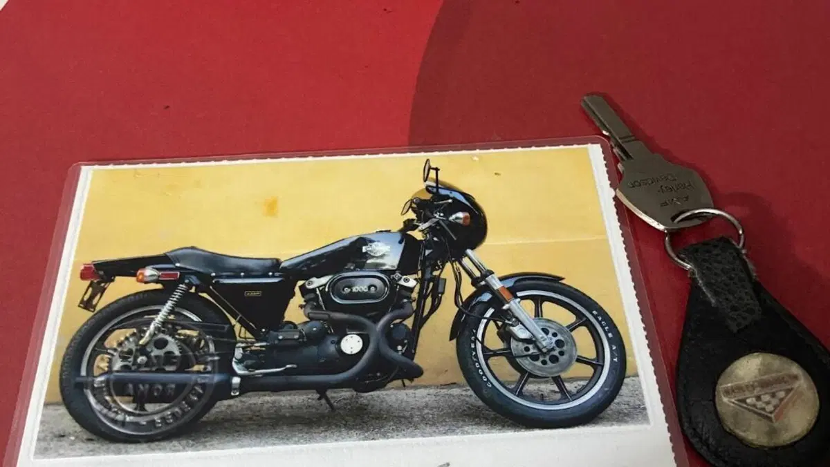 Harley-Davidson   (10)