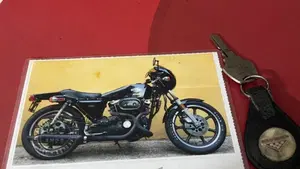 Harley-Davidson   (10)