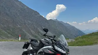 Aprilia Tuono 660 Factory (2022 - 24)