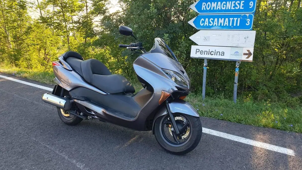 Honda Forza 250 EX (2005 - 07)  (2)