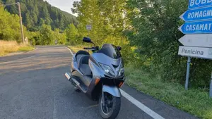 Honda Forza 250 EX (2005 - 07)  (3)