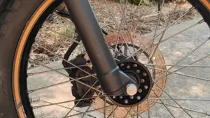 Yamaha Tricker  (10)