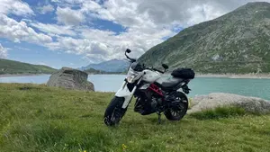 Benelli BN 302 (2017 - 19) 