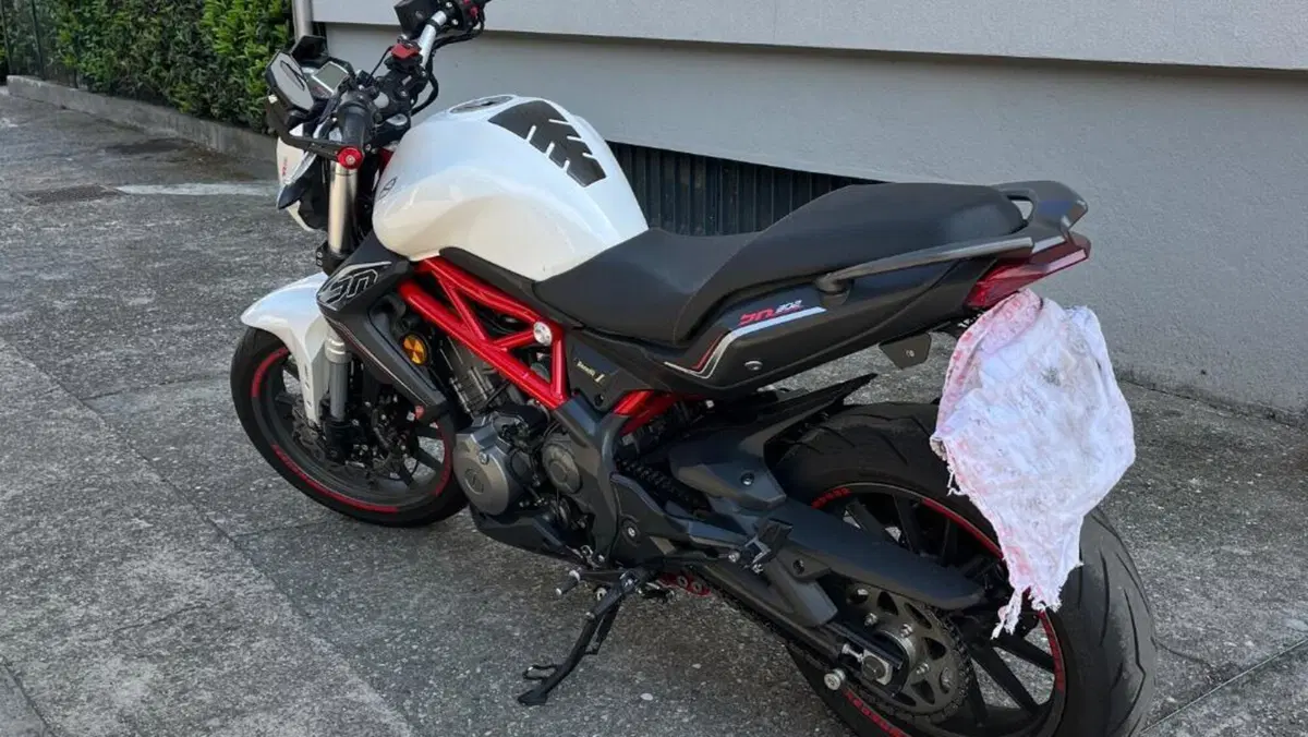 Benelli BN 302 (2017 - 19)  (4)