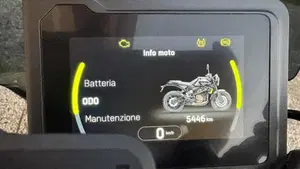 Husqvarna Svartpilen 401 (2024 - 26)  (5)