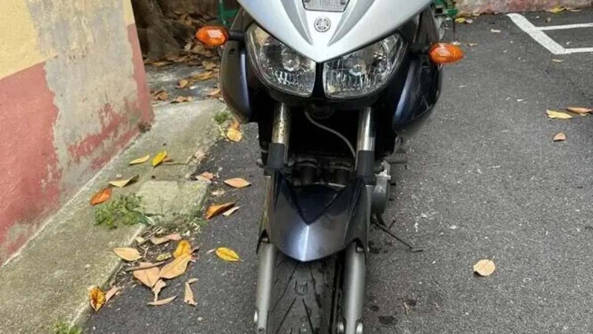 Yamaha TDM 900 (2002 - 14)  (4)