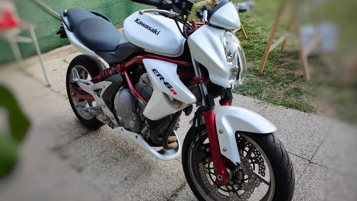 Kawasaki ER-6N (2006 - 09)  (2)