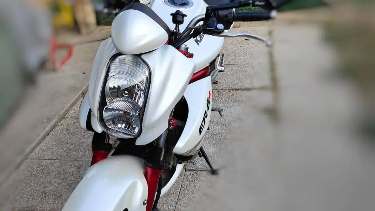 Kawasaki ER-6N (2006 - 09)  (4)