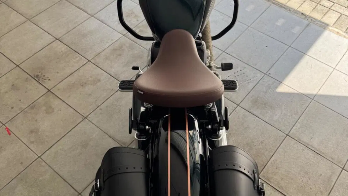 Royal Enfield Classic 350 (2021 - 26)  (4)
