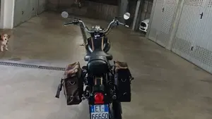 Royal Enfield Bullet 500 EFI STD - Entry Level (2017 - 20)  (4)