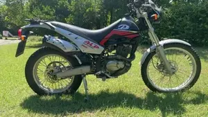 Betamotor Alp 200 4T (1999 - 06)  (3)