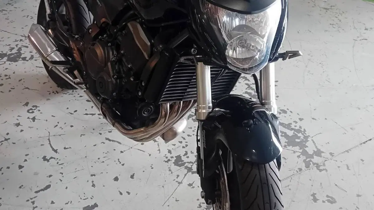 Honda Hornet 600 (2007 - 10)  (3)
