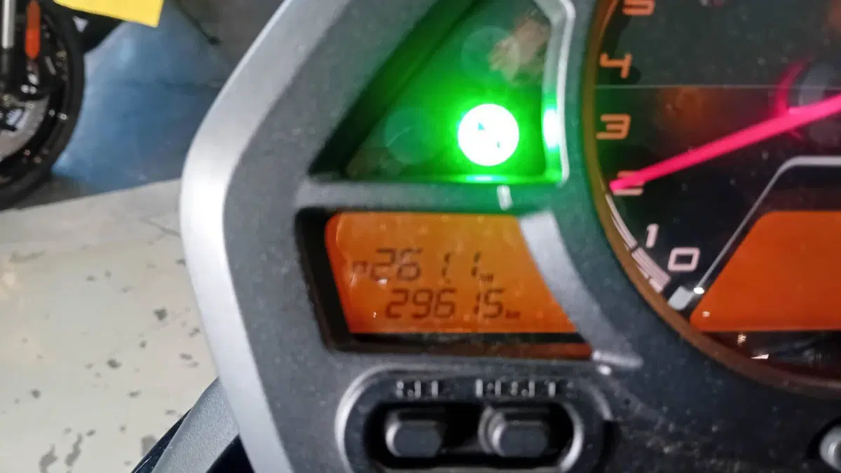 Honda Hornet 600 (2007 - 10)  (5)
