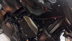 Honda Hornet 600 (2007 - 10)  (6)
