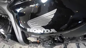 Honda Hornet 600 (2007 - 10)  (7)