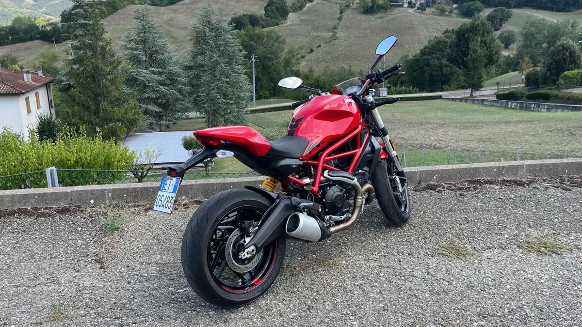 Ducati Monster 797 Plus (2019)  (2)