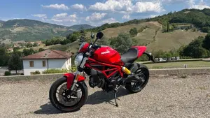 Ducati Monster 797 Plus (2019)  (3)