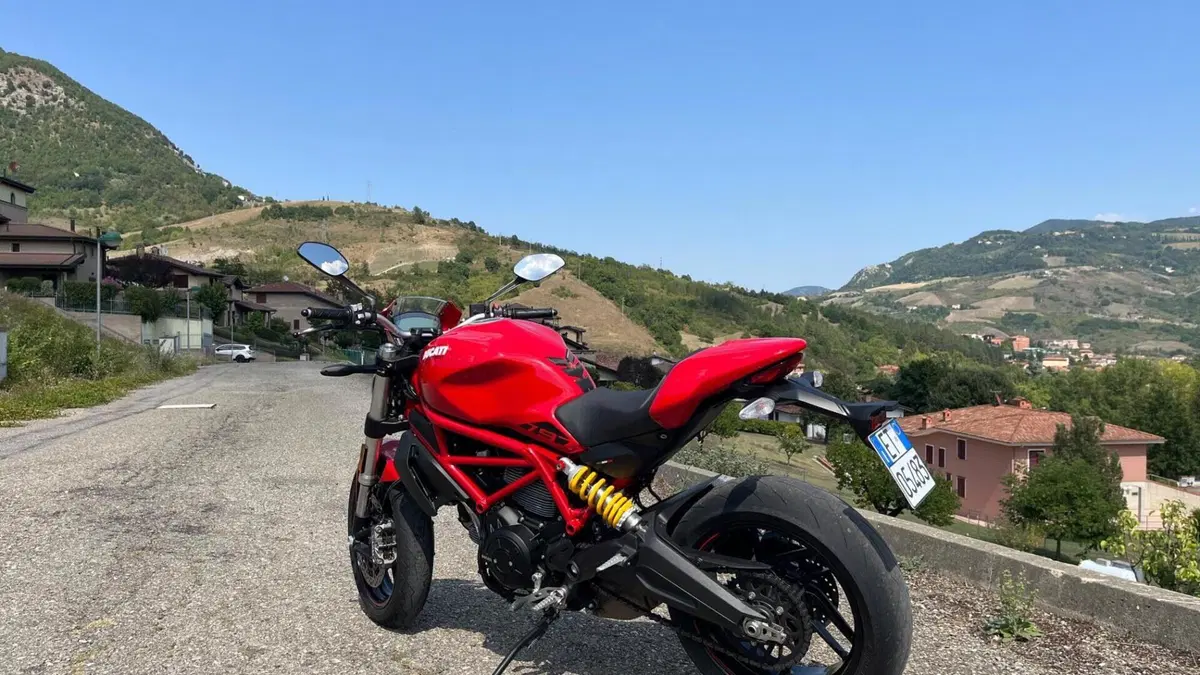 Ducati Monster 797 Plus (2019)  (4)