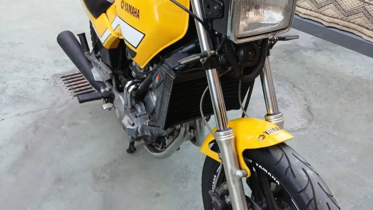 Yamaha   (5)