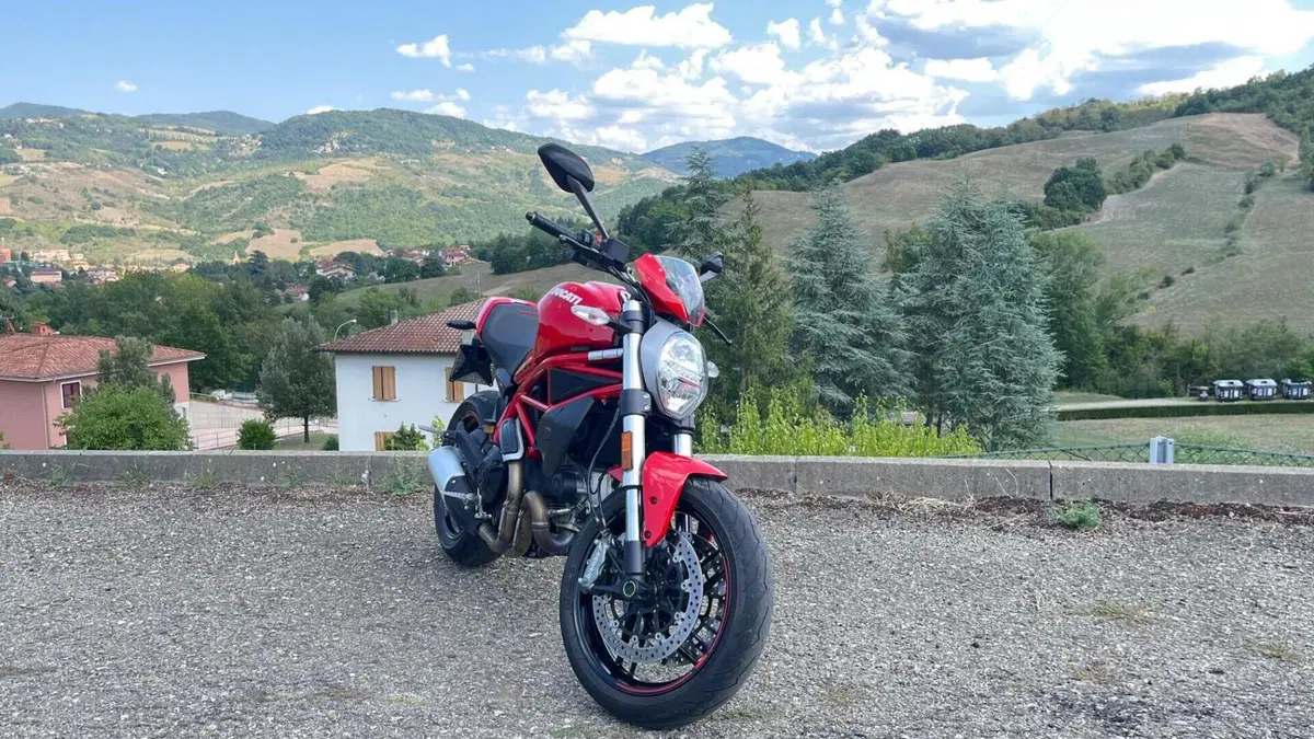 Ducati Monster 797 Plus (2019)  (10)