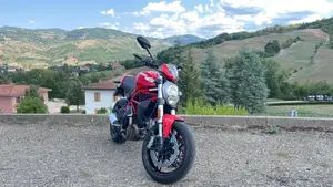 Ducati Monster 797 Plus (2019)  (10)