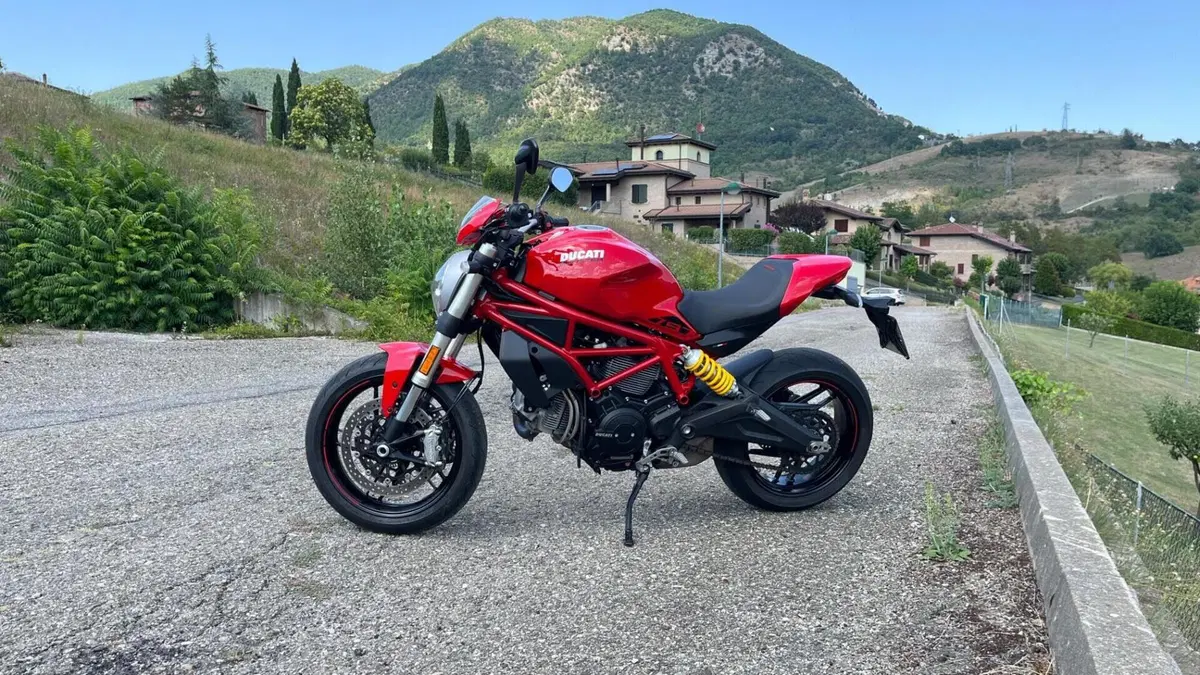 Ducati Monster 797 Plus (2019)  (11)