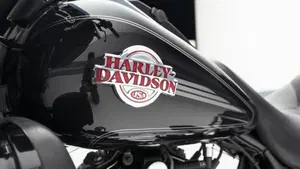 Harley-Davidson 1584 Electra Glide Ultra Classic (2007) - FLHTCU  (12)
