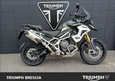 Triumph Tiger 1200 Rally Pro (2024 - 26) - Annuncio 10087517