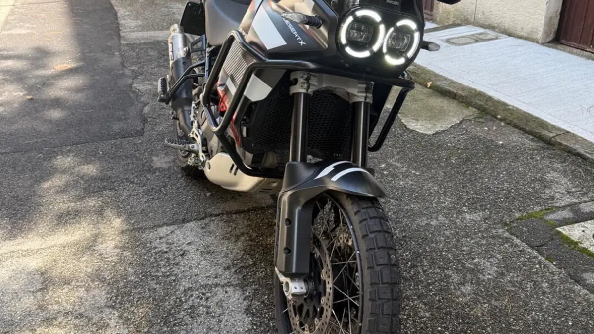 Ducati DesertX (2022 - 25) 