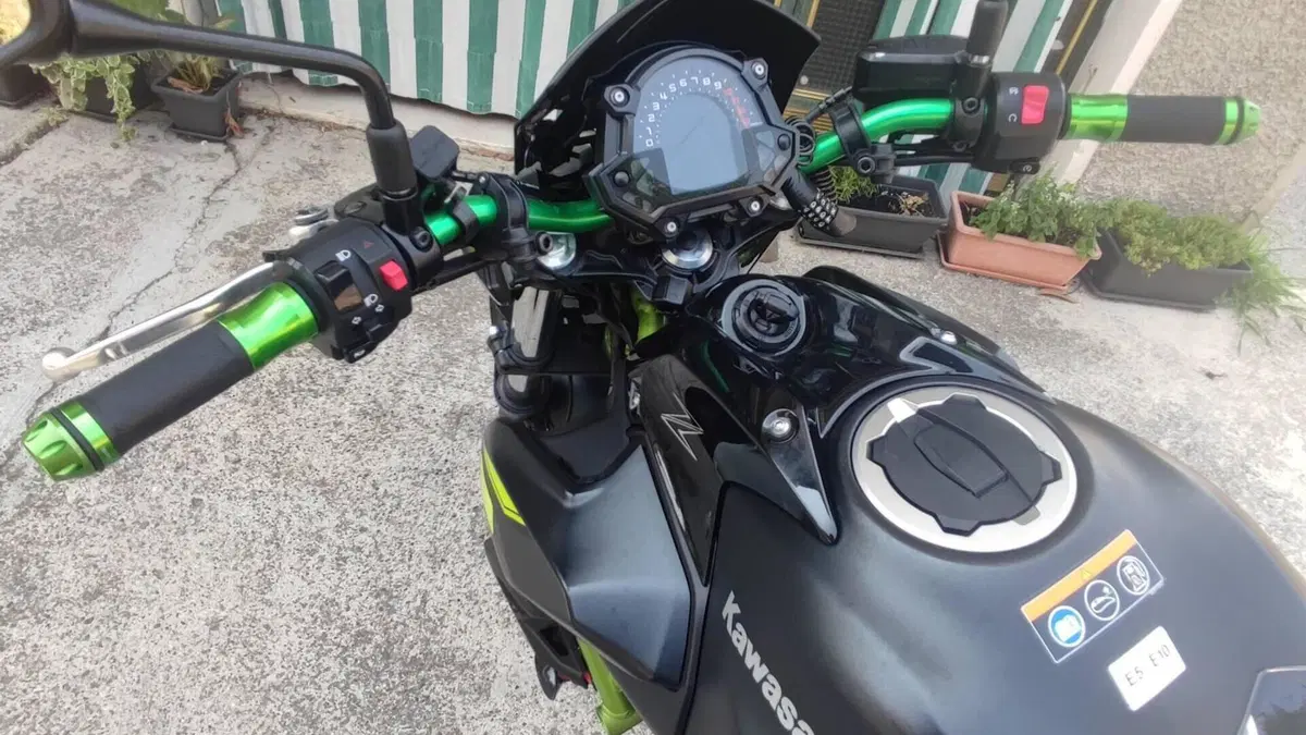 Kawasaki Z 650 (2017 - 19) 