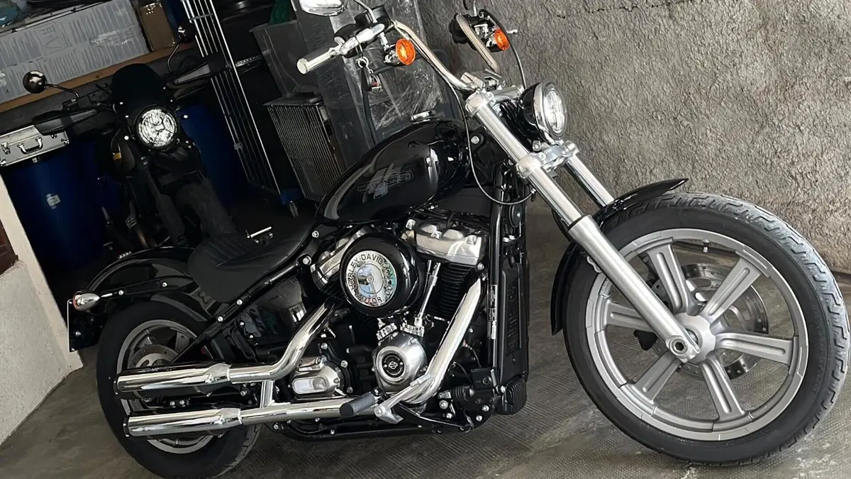 Harley-Davidson Softail Standard (2020) - FXST 
