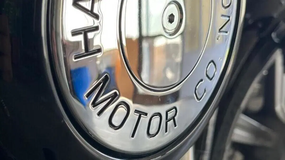 Harley-Davidson Softail Standard (2020) - FXST  (3)