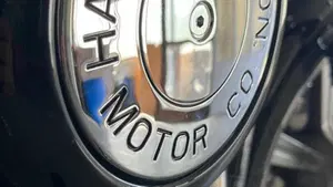 Harley-Davidson Softail Standard (2020) - FXST  (3)