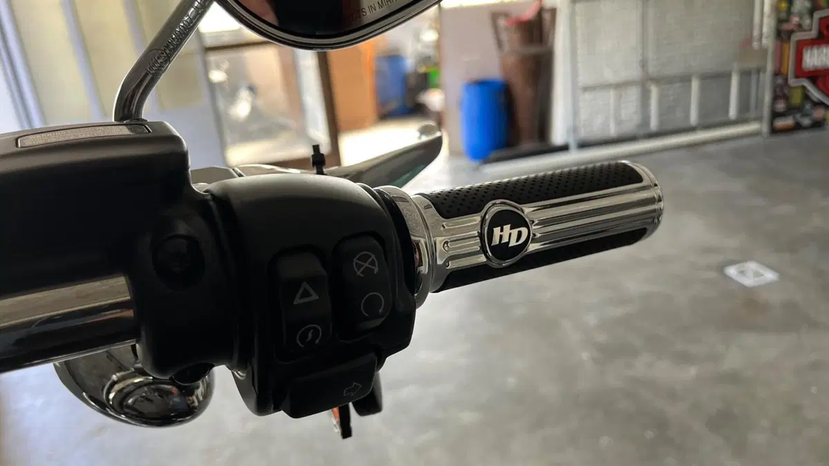 Harley-Davidson Softail Standard (2020) - FXST  (4)