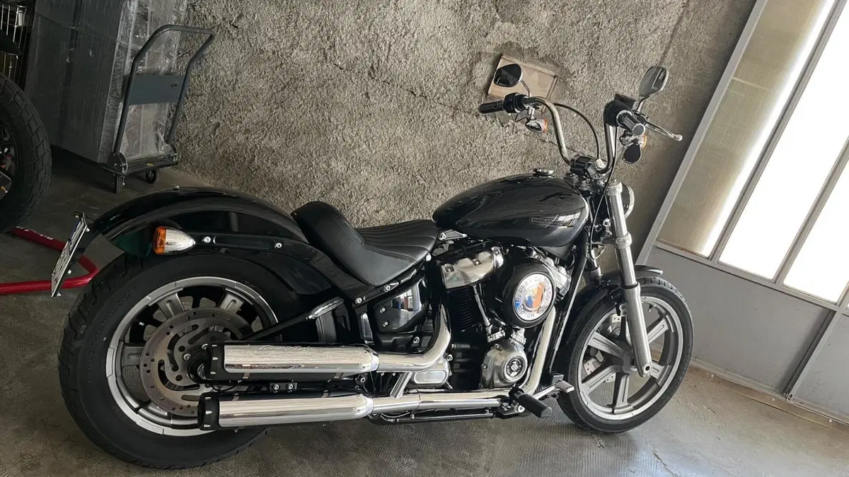 Harley-Davidson Softail Standard (2020) - FXST  (7)