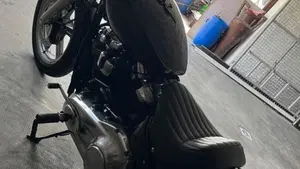 Harley-Davidson Softail Standard (2020) - FXST  (8)