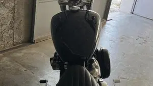 Harley-Davidson Softail Standard (2020) - FXST  (9)