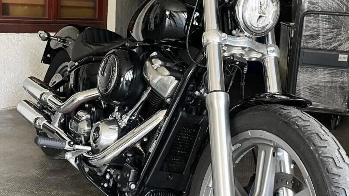 Harley-Davidson Softail Standard (2020) - FXST  (10)