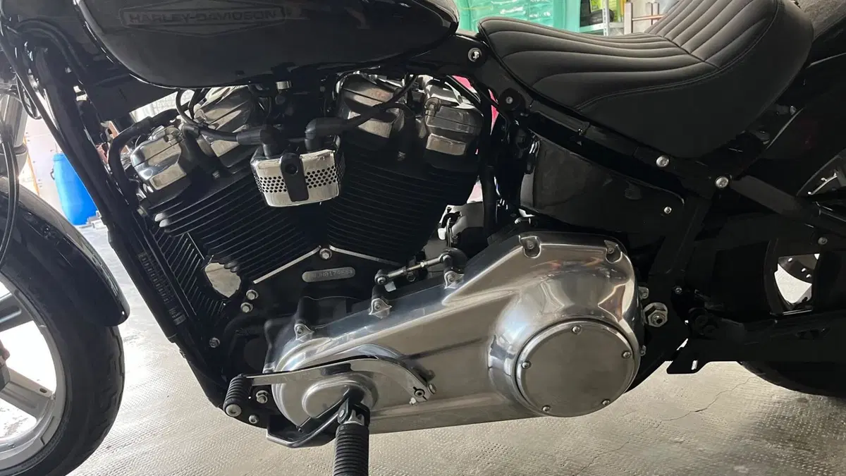 Harley-Davidson Softail Standard (2020) - FXST  (12)