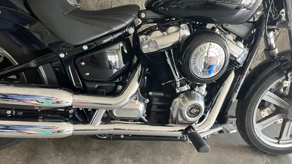 Harley-Davidson Softail Standard (2020) - FXST  (13)