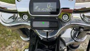Harley-Davidson Softail Standard (2020) - FXST  (14)