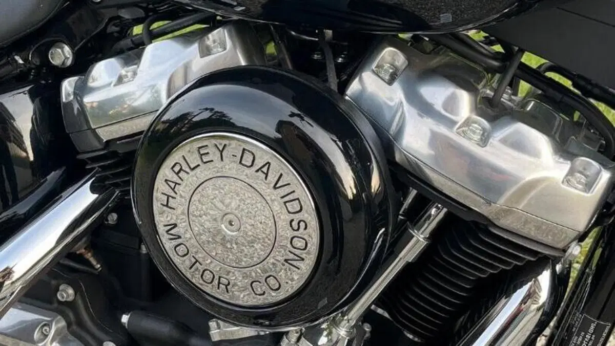 Harley-Davidson Softail Standard (2020) - FXST  (15)