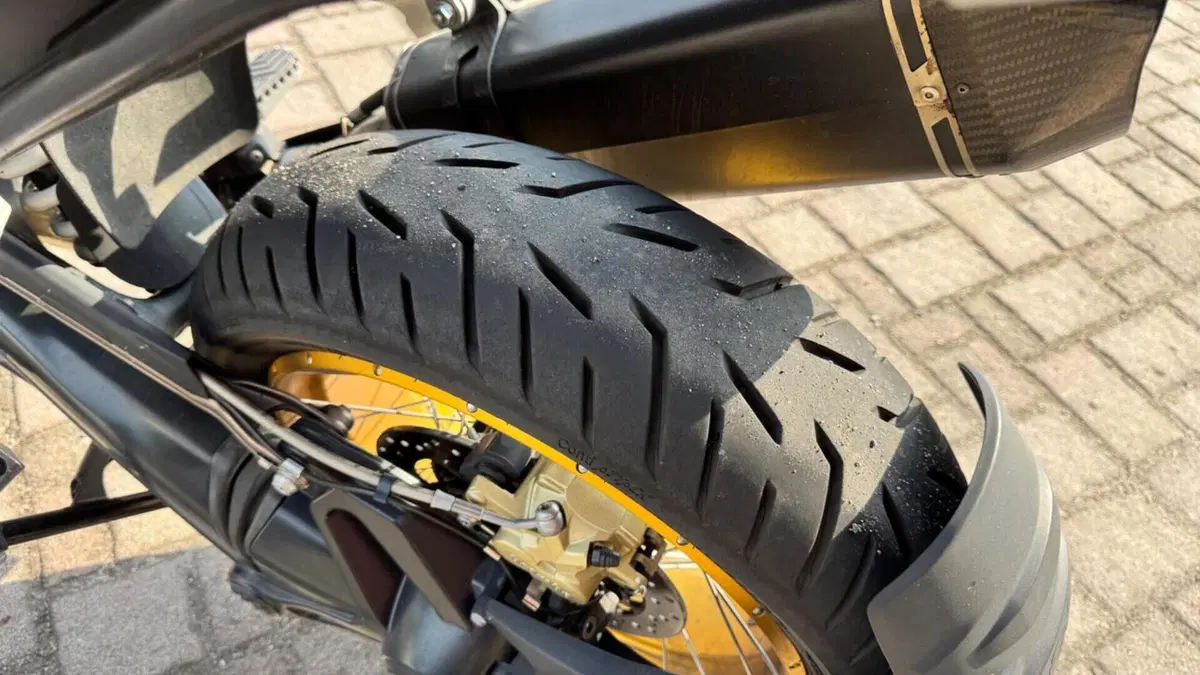 Bmw R 1250 GS (2019 - 20)  (17)